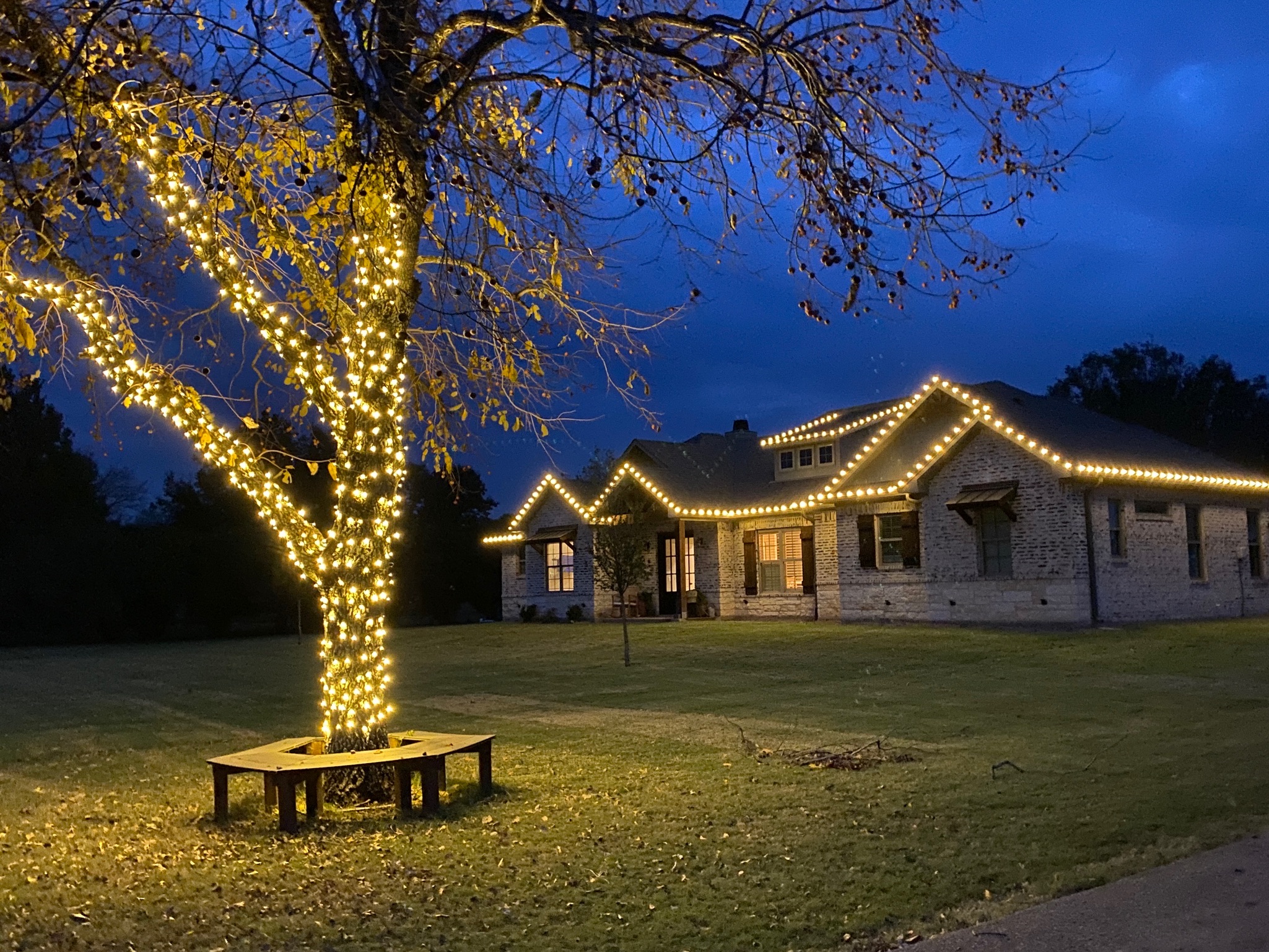 Christmas Lighting