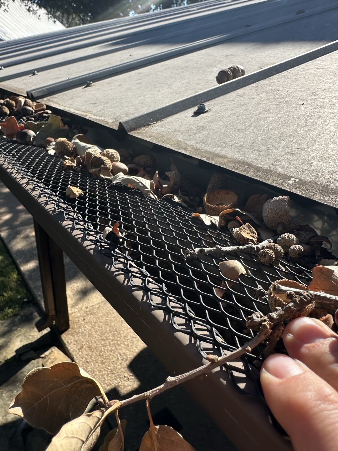 Failed leaf guard debbie before